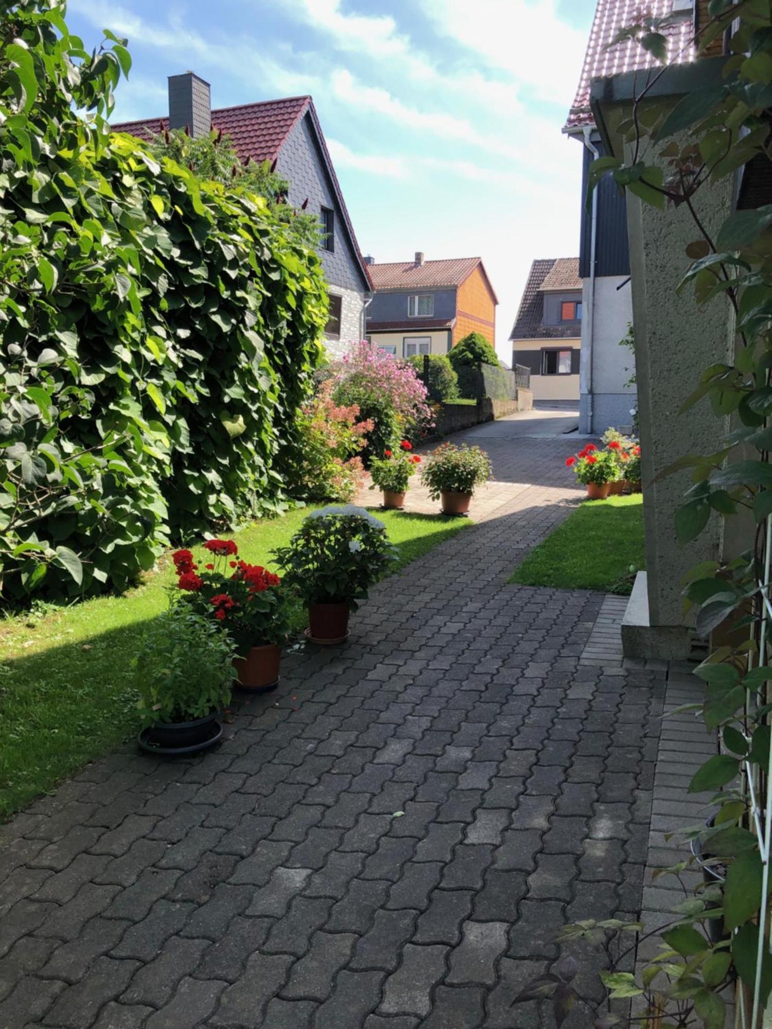 Harzquerbahnblick Apartman Benneckenstein Kültér fotó