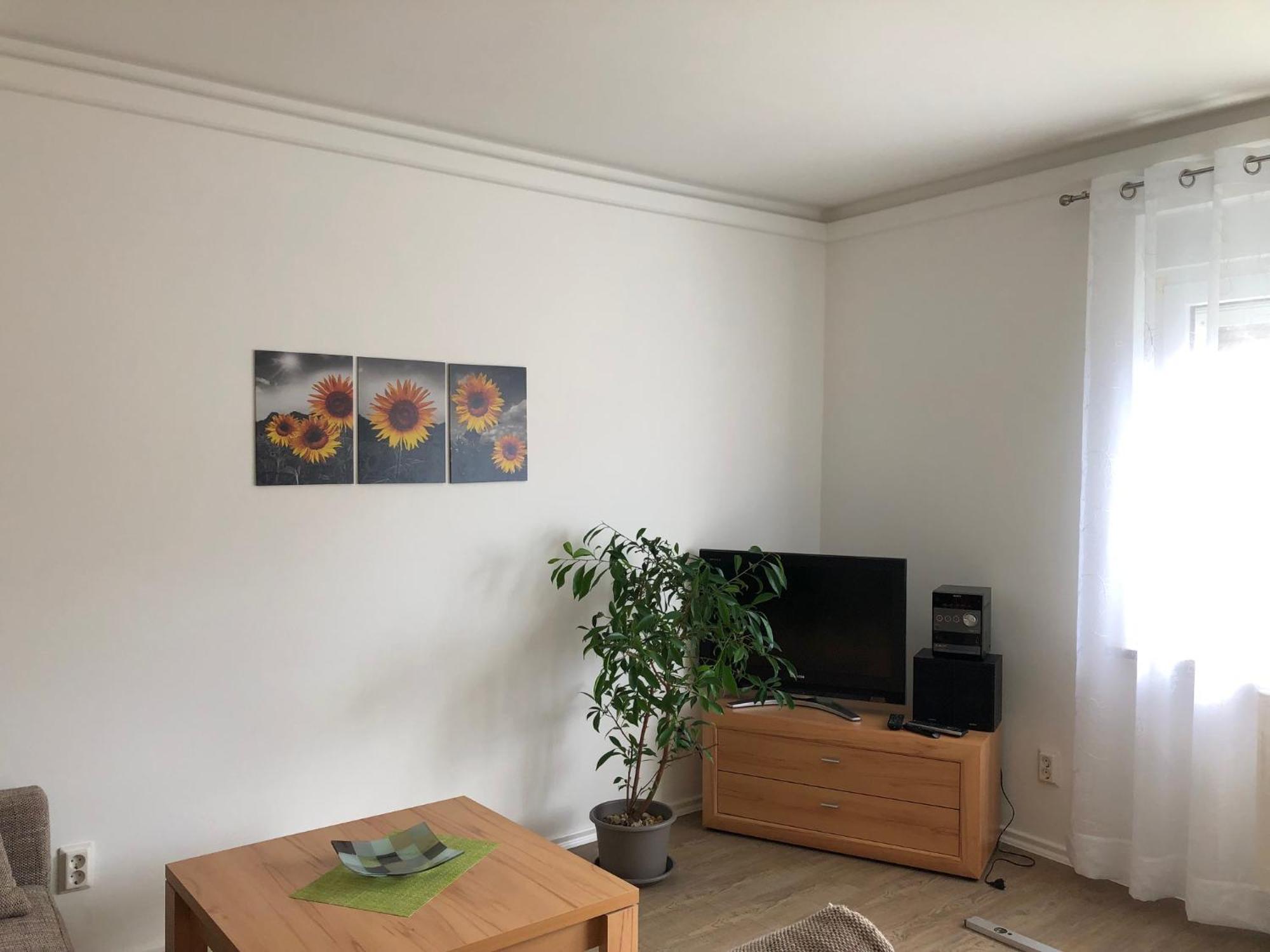 Harzquerbahnblick Apartman Benneckenstein Kültér fotó